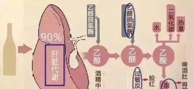 如何快速去除体内热毒 9d614cadfa3a408fb323769f634f2d8f.jpeg