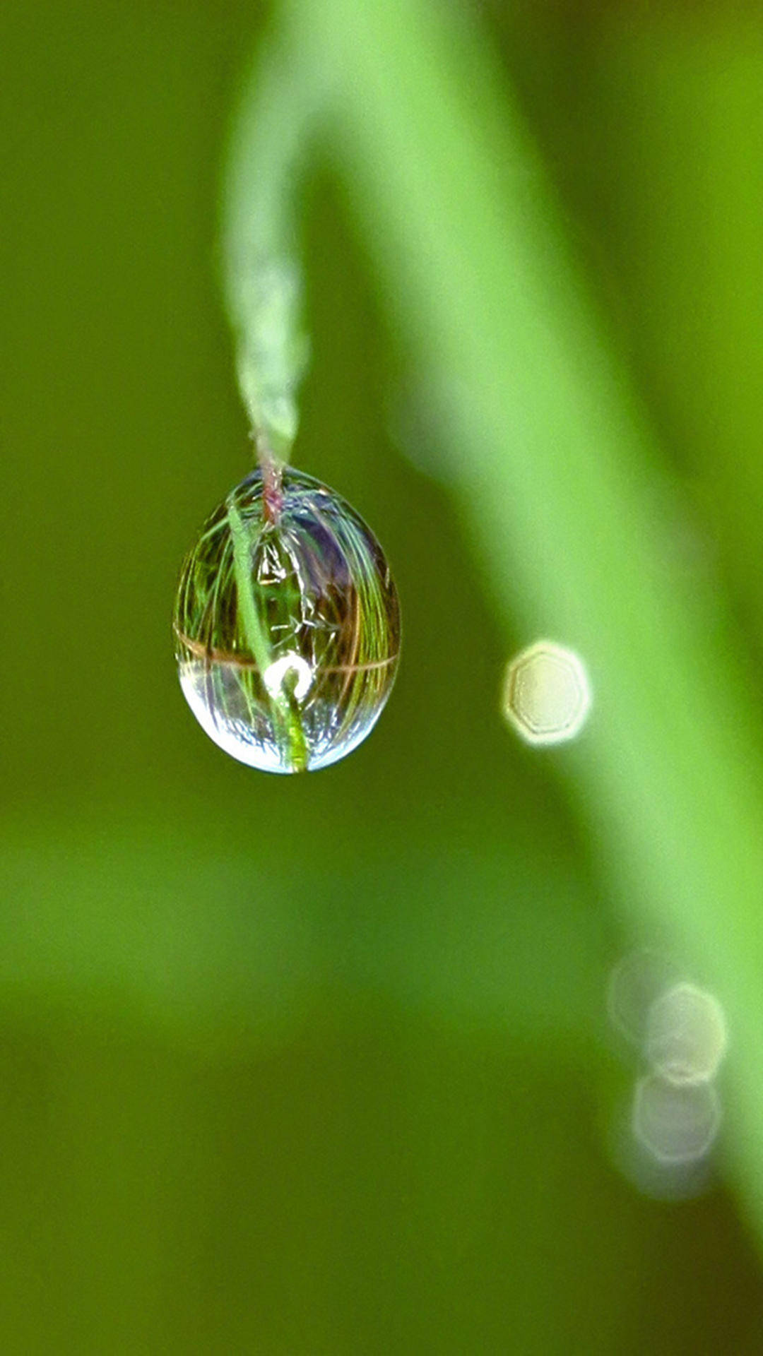 步韵唱和《露水》绝句三(四首)_七绝_江苏_尘埃