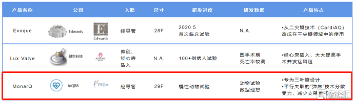 眼光|沛嘉医疗-B（9996.HK）：引领瓣膜领域创新方向，国际化布局极具前瞻眼光