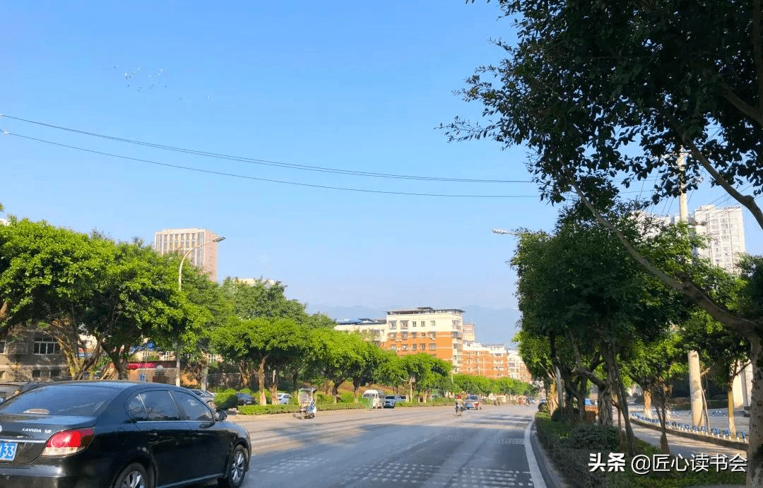 這樣美麗綠色的鄰水,你愛了嗎?_公園_城市_綠化