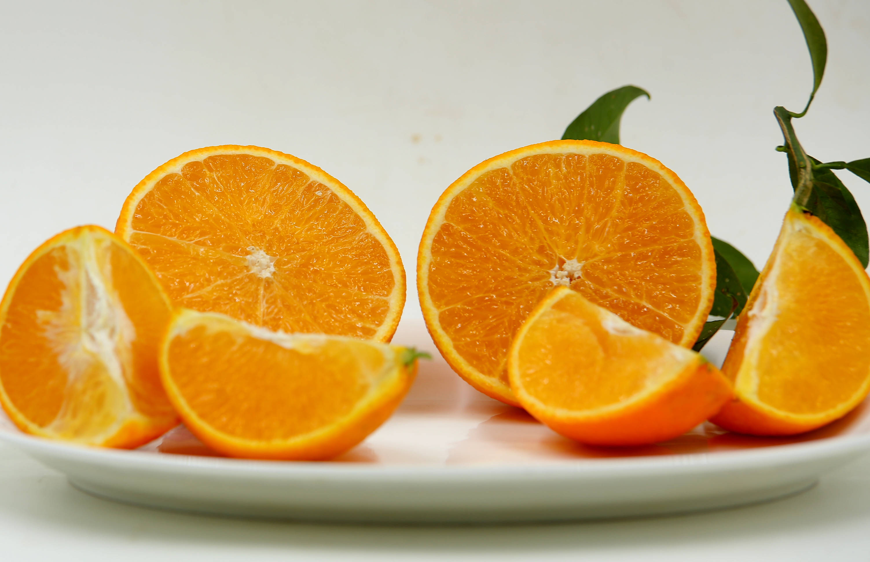 长沙市现代农业产业领军人才高端研修班开班,柑橘皇后