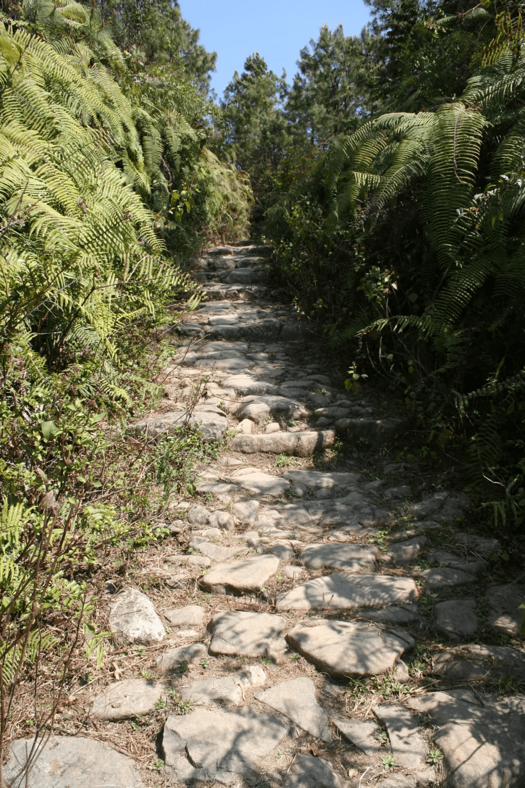 古道|【国家AA级景区】腾冲腾越玉璧景区