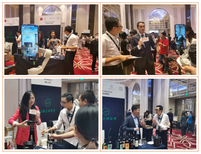 卢大炜|「见新·见智」92+智利高分酒,带你一览智利佳酿!(下)