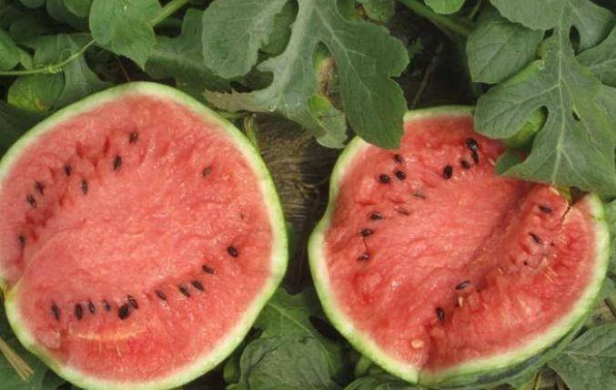 蔬菜|5种食物被称为“升糖王”？医生提醒：再喜欢吃，也要管住嘴