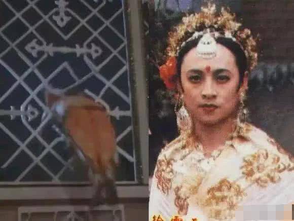 投资|《西游记》最美男群演！男扮女装演了一集“玉兔精”，竟无人发现