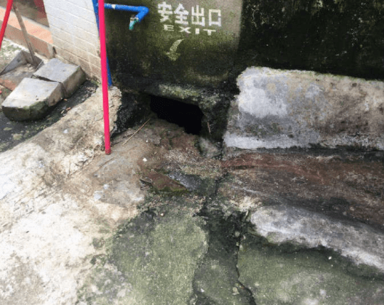 什么笑话段子：姐昨晚梦见自己怀孕了，叫男友陪我去检查！