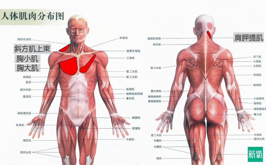 美人50岁的年龄，25岁的体态，值得吗？
