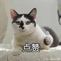 什么美白护肤品什么牌子好？美白淡斑精华液排行榜10强这款公认好用！