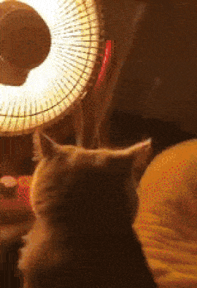 280_409竖版 竖屏gif 动态图 动图