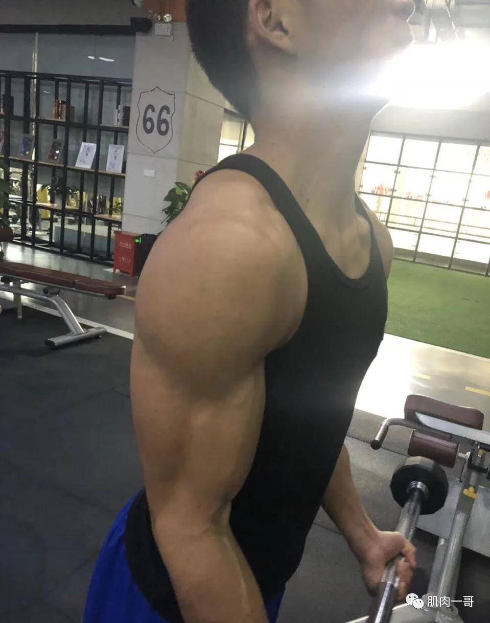 26岁大胸肌教练c位出圈网友们又可了