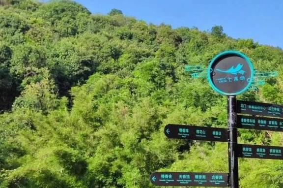 轻奢度假，入住广州后花园“花都木莲庄度假酒店”