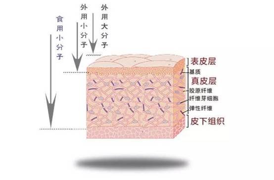 什么牛奶敷脸真的可以美白吗，吃什么可以美白？美白的方法。