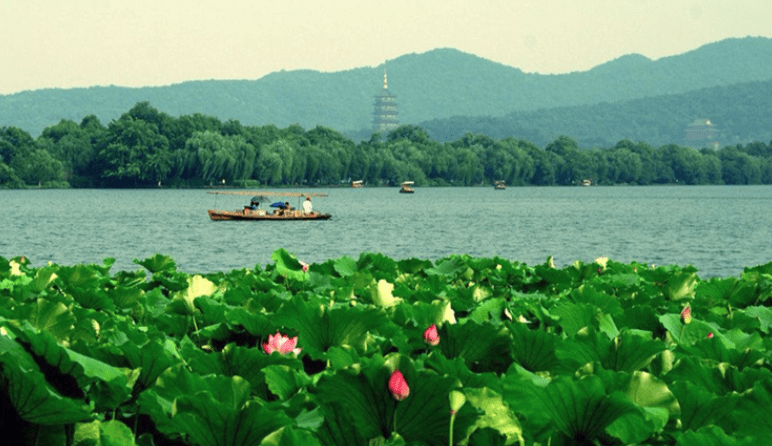 杭州旅遊的五個景點,獨具特點如今越來越有名!_西湖_糕點_魅力