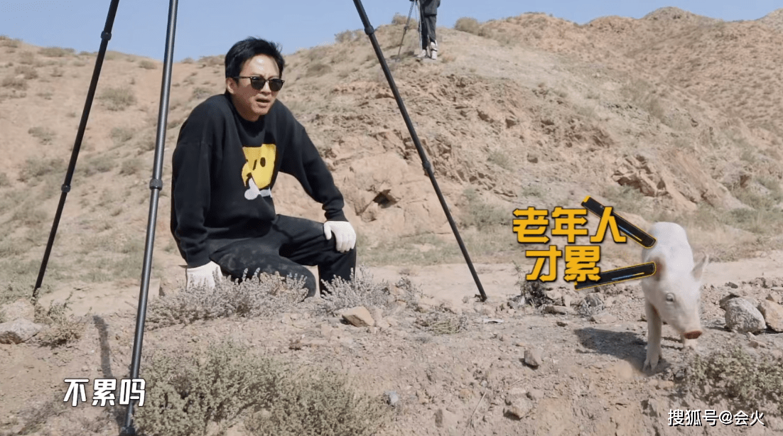 邓超|邓超直言再也不录综艺节目了？轻松抓鸡遍地追，狼狈撵猪满地跑
