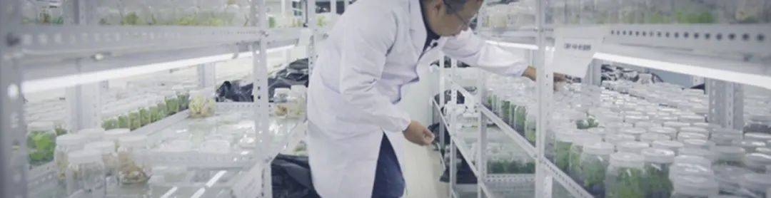 神秘、新奇的?重点实验室究竟是做啥的？今天为你揭秘