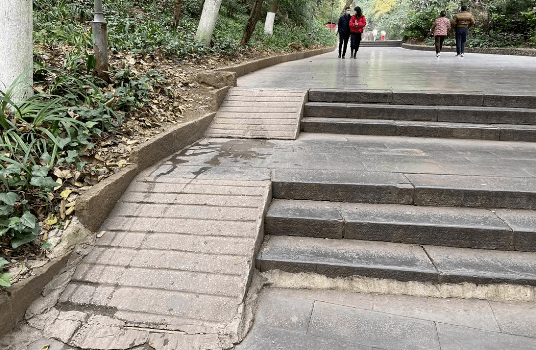 轮椅|点赞！市民反映无障碍通道“有障碍”，贵阳黔灵山公园：安排