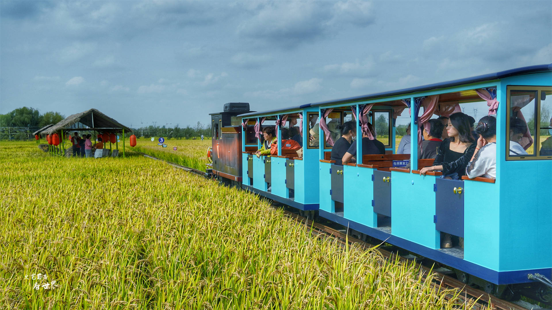 我们一步入景区,就被造型卡通的小火车所吸引,小火车将穿过整片稻田
