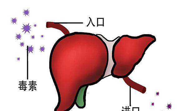 治疗|癌症说来就来？医生：癌症其实有“前身”，有的小毛病也该早处理