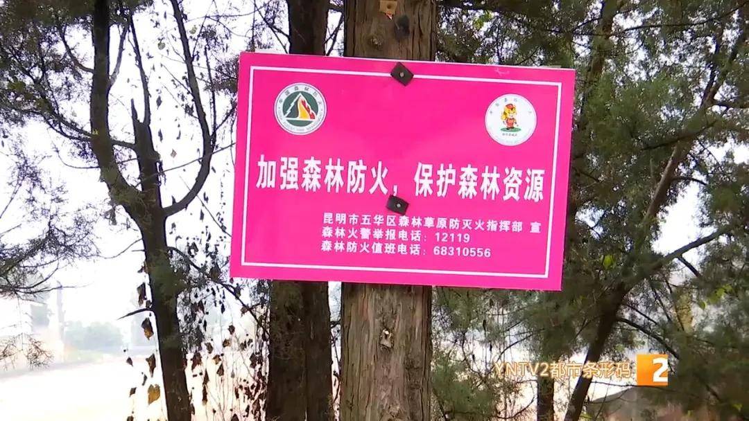 王师傅|注意啦！长虫山已封山戒严！