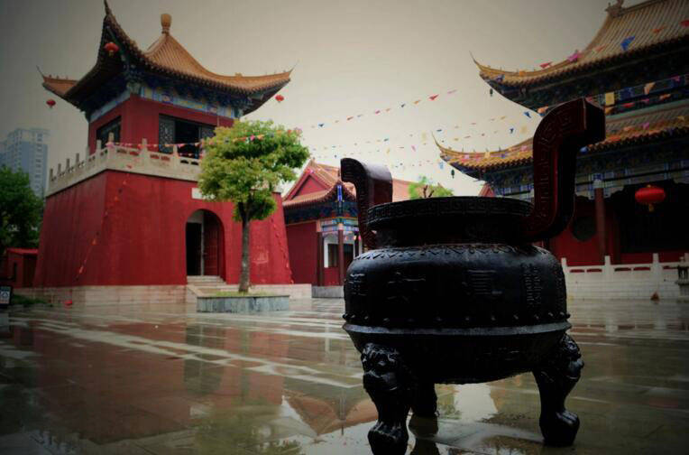 寒来暑往银杏摇曳宿迁市真如禅寺