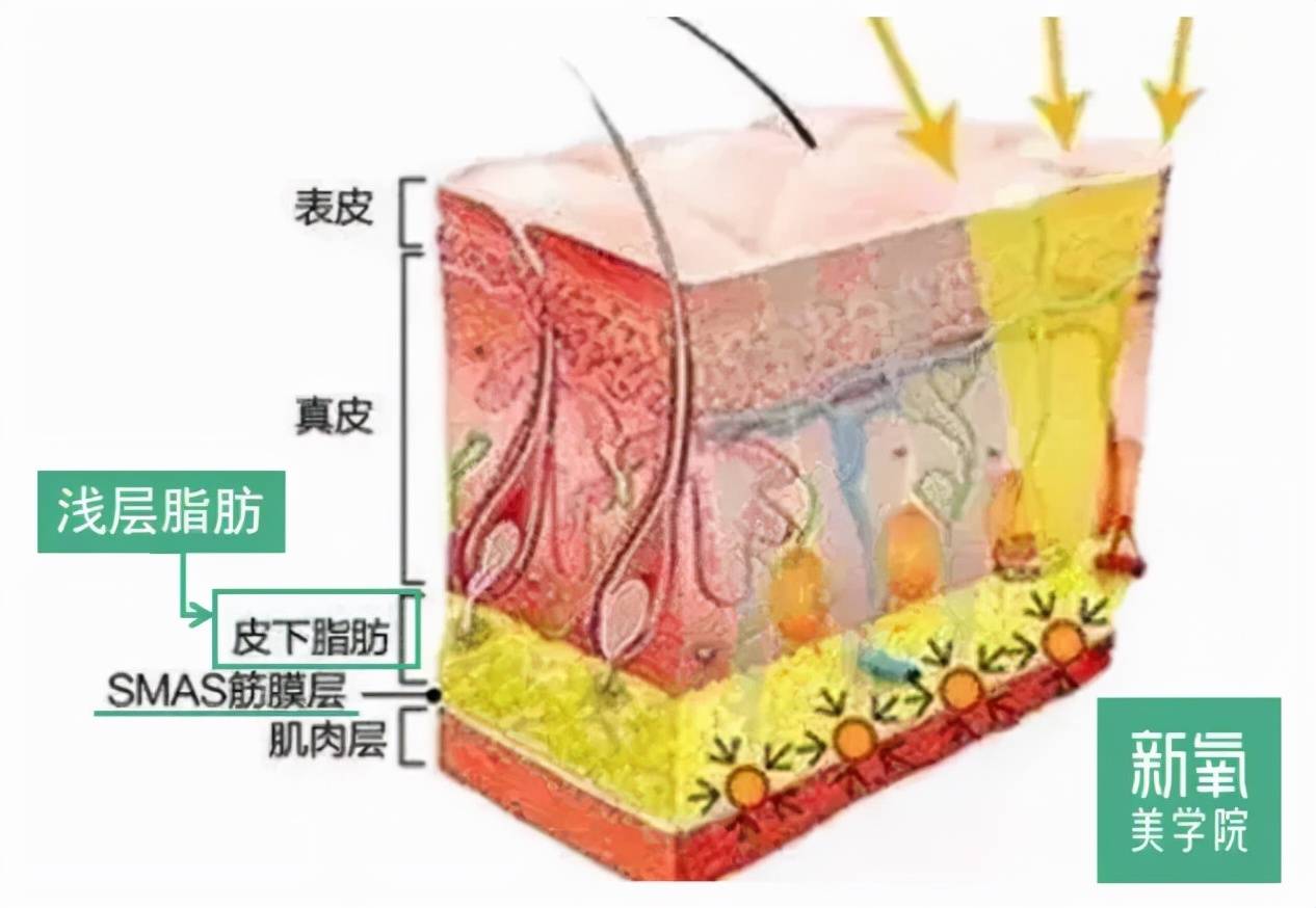 因为为什么在抗衰这件事上，她们越努力越不行？