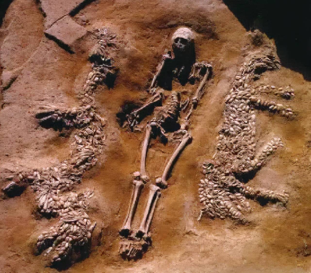 原创河南发现六千年前古墓内藏中华第一龙墓主人身份充满神秘