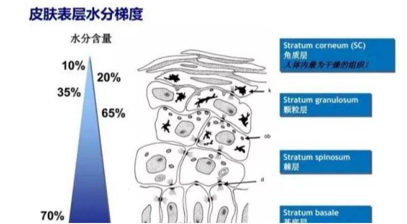 人体冬季补水和保湿的区别？韩国KAHI小粉棒告诉你答案