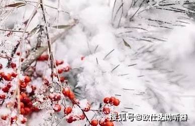 什么东西可以去寒 d5cb8a15bd4942bf9ef5de63eda30d0c.jpeg