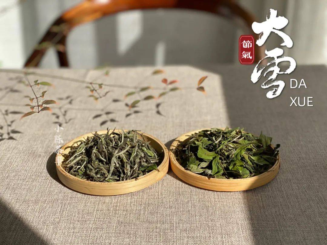 低温润茶,低温闻香,村姑陈详解日常泡茶的十大误区,未完待续!