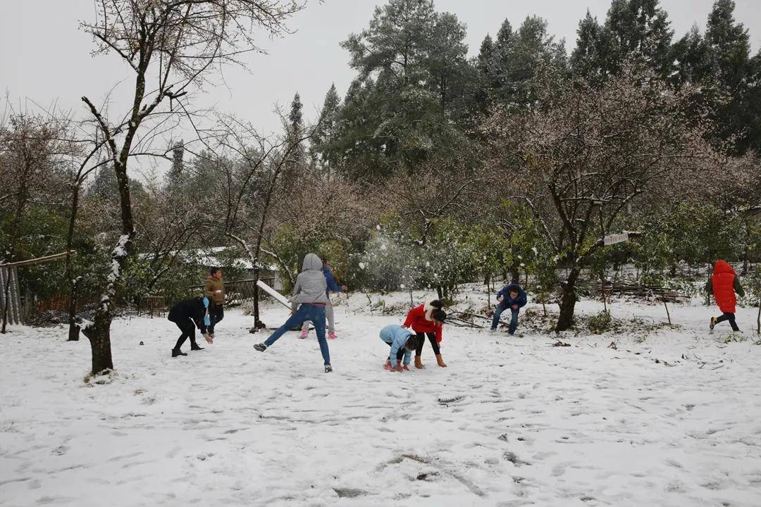 雪景|你还记得腾冲那些年的雪吗