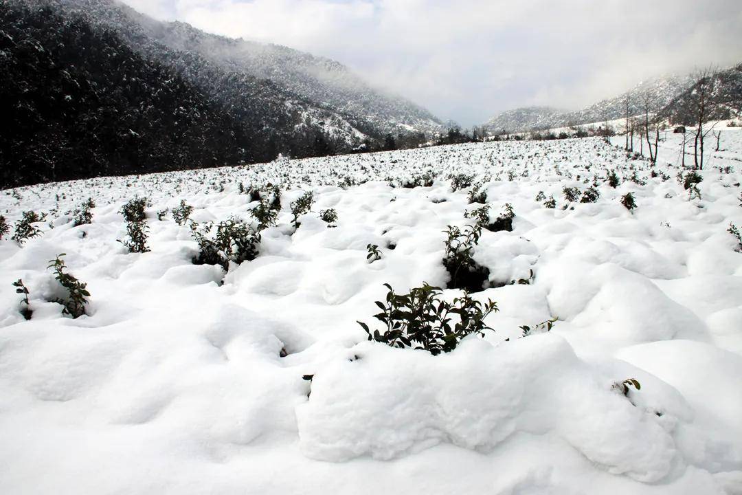 雪景|你还记得腾冲那些年的雪吗