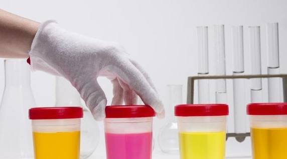 治疗|预防尿毒症，2项措施最为关键，可惜不少肾友没做到