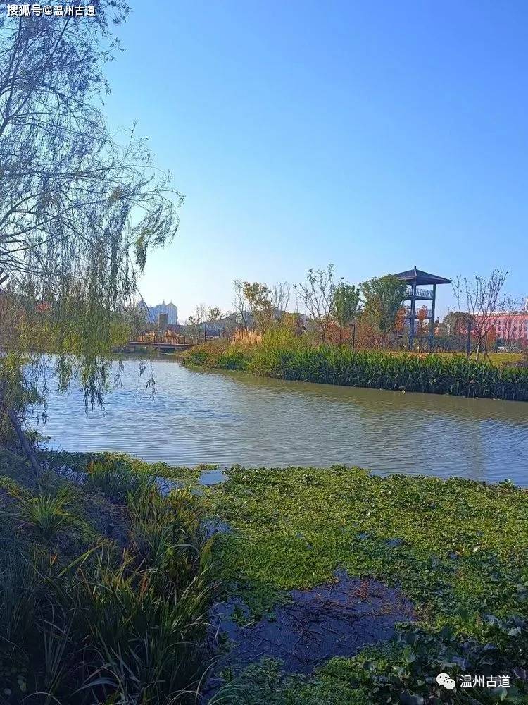 台州金洋湿地公园图片