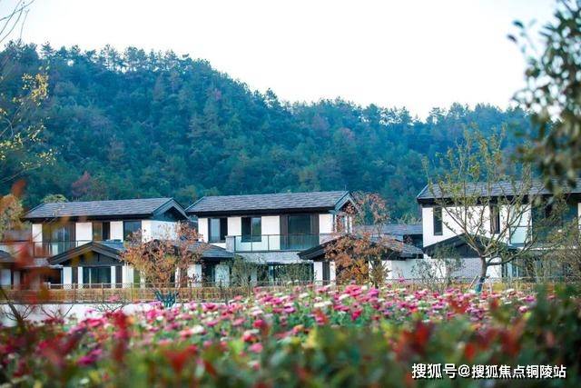 营销官网：绿城【安吉桃花源】售楼处电话 具体位置详情-来电预约看房_山居_活动_山水