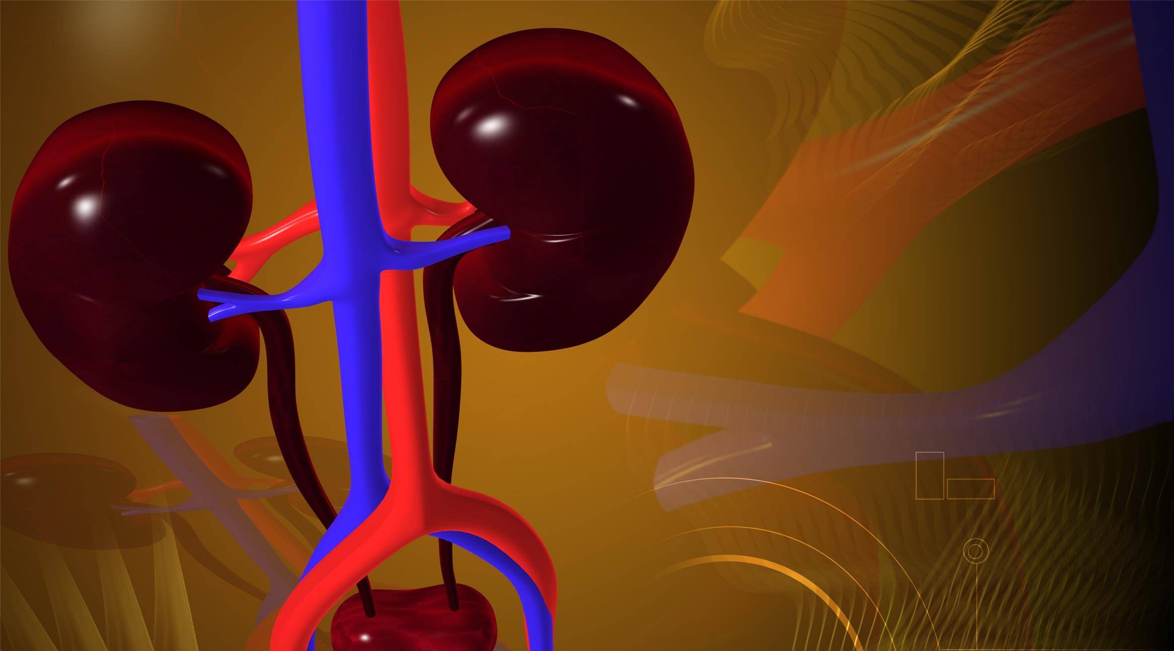 饮食|不想尿毒症“惹”上身，这些习惯千万别碰，尿毒症会自动远离你