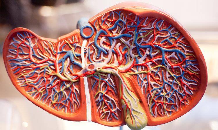 治疗|不想乙肝变肝癌？4件小事会帮上忙，不难做