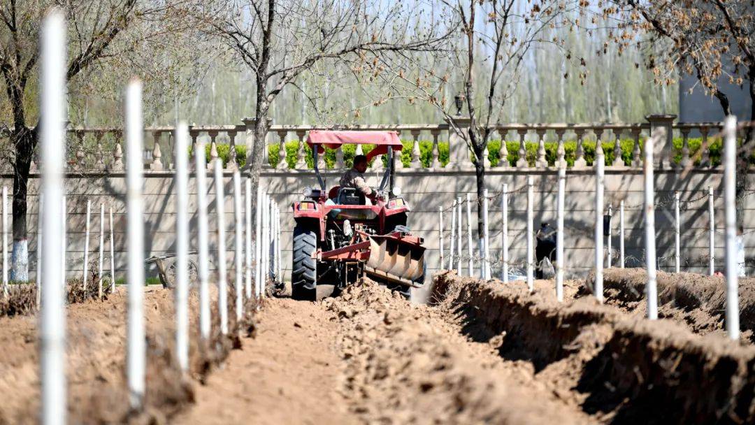 全球|2021全球顶级葡萄酒TOP100,龙谕成中国唯一入选酒款