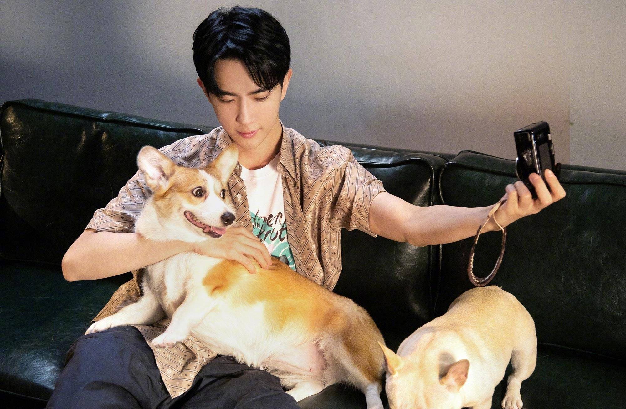 世欢 于朦胧抱萌宠晒近照,穿黑白格子衬衫清新脱俗,娃娃脸太爱了