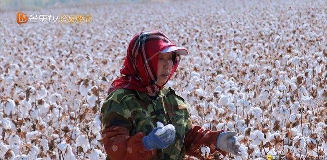 陈小春|张智霖上综艺大尴尬，叫一个比自己大5岁的人阿姨！