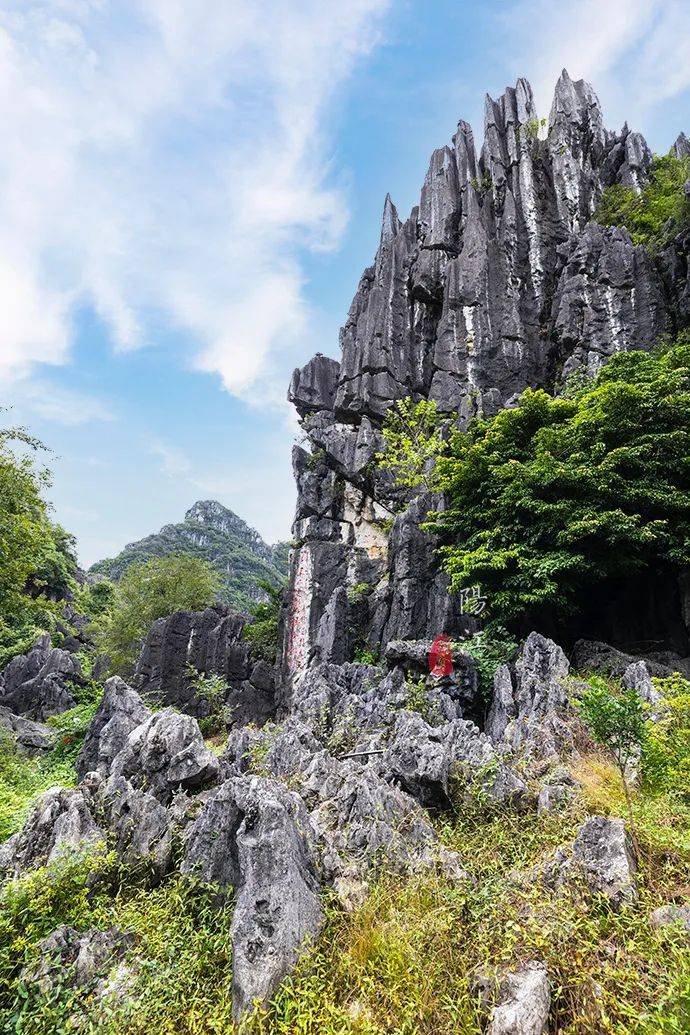 风景|广东“小桂林”有处石林，奇绝雄壮，20多部影视大片在这里取景