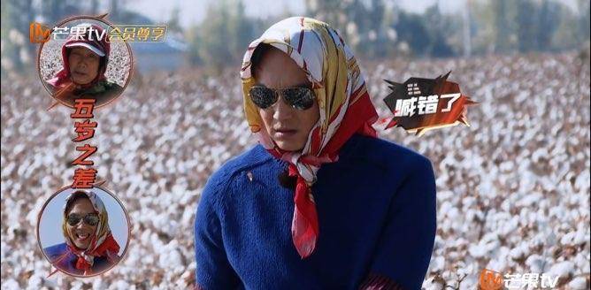 陈小春|张智霖上综艺大尴尬，叫一个比自己大5岁的人阿姨！