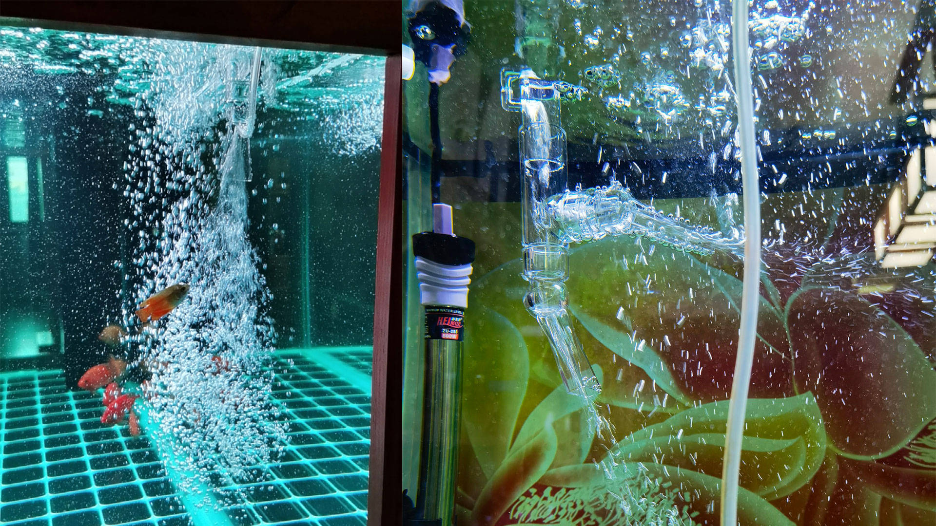 鱼缸出水口增氧教程鱼缸出水口增氧改造图