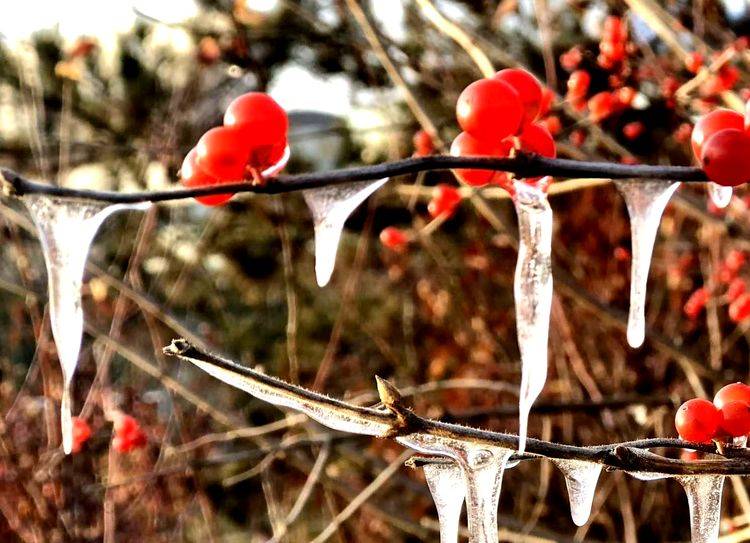 马腾|诗词：冬月夜夜霜，白日天天阳；皆道今冬冷，冰雪降何方？