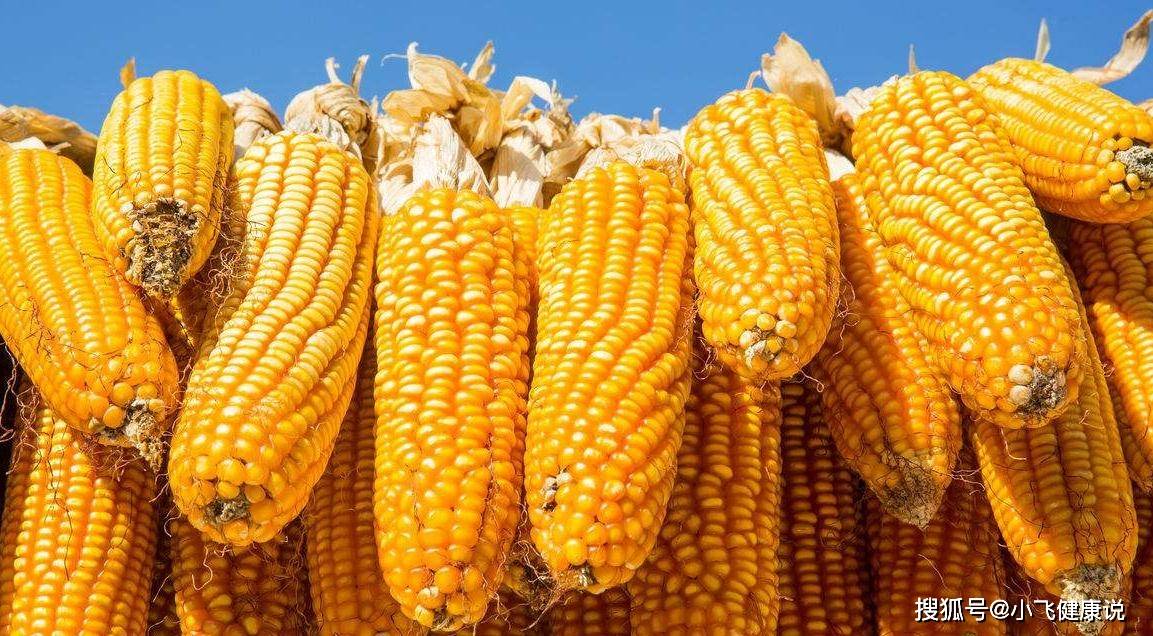 胡萝卜素|提个醒：玉米与它搭配，就是没病找病，可惜很多人偏偏喜欢！