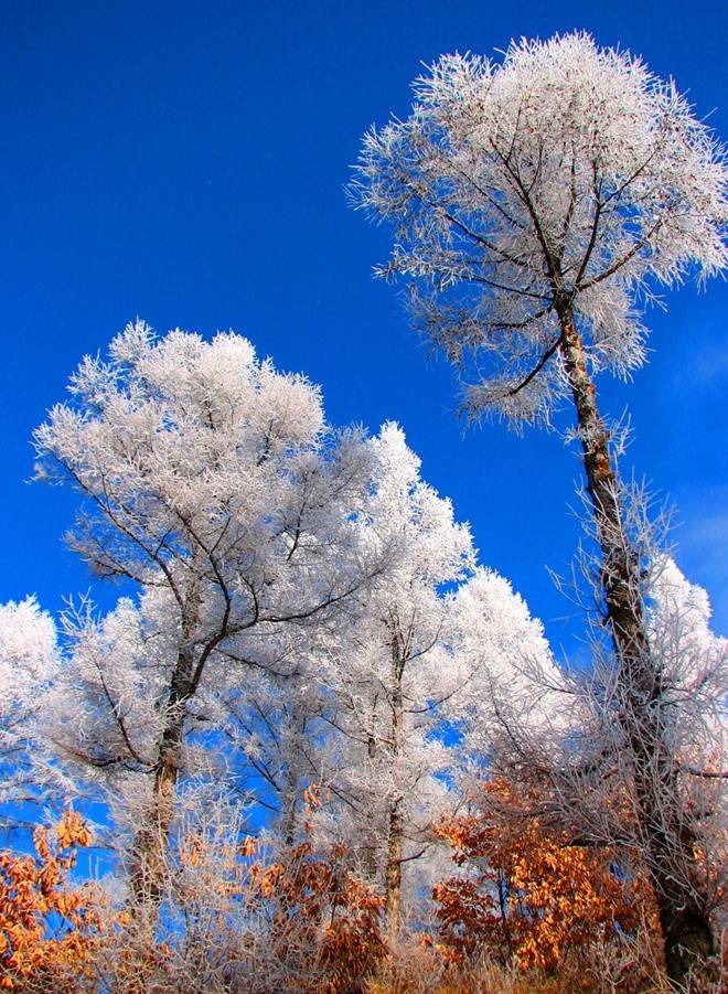 江畔|赞！在吉林玩冰雪，半个月不重样！