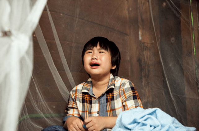 2岁出道6岁身家千万被生父继母败光财产的小小彬现状如何