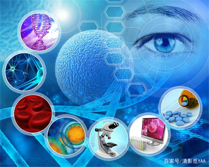 ENlivEN干细胞美容合法吗？干细胞美容可以管多久？扒一扒还有多少坑