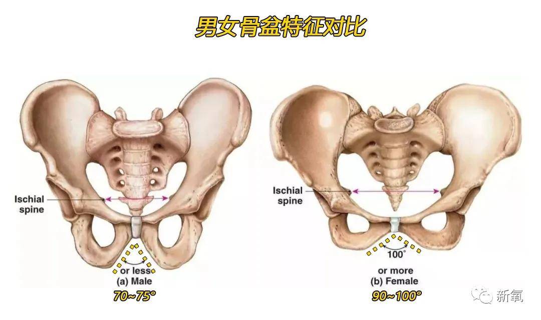 后天第一次听说走路也能吸粉？她到底凭什么啊？