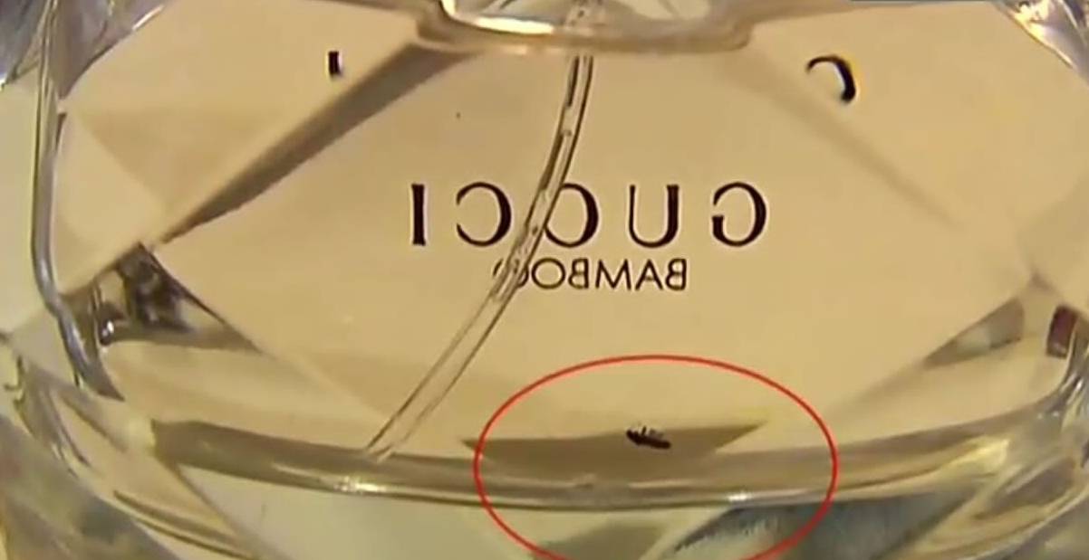 化妆品800多的古驰香水里面有只虫，不同意退款，女客户：我要退一赔三