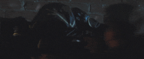 凯特|豆瓣9.0,今年最出圈的独立剧集来了